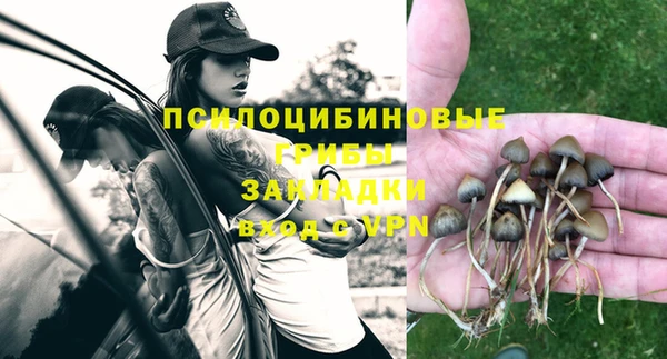 ГАЛЛЮЦИНОГЕННЫЕ ГРИБЫ Медвежьегорск