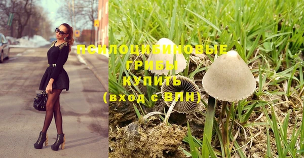 прущая мука Мегион