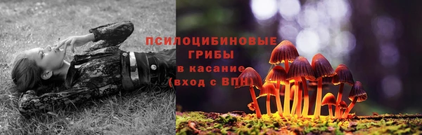 ГАЛЛЮЦИНОГЕННЫЕ ГРИБЫ Медвежьегорск