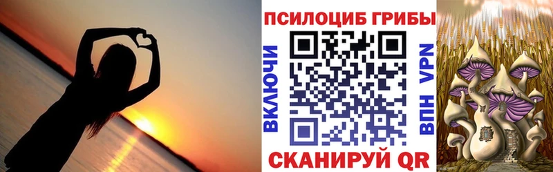 Купить закладки  Козьмодемьянск  Псилоцибиновые грибы Psilocybe 